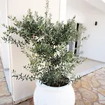 Szálloda La Skalavista Skala (Kefalonia)
